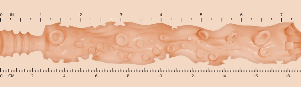 Lady_Texture-Ruler-H-EveSweet.jpg